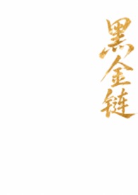 黑金链条包女高奢